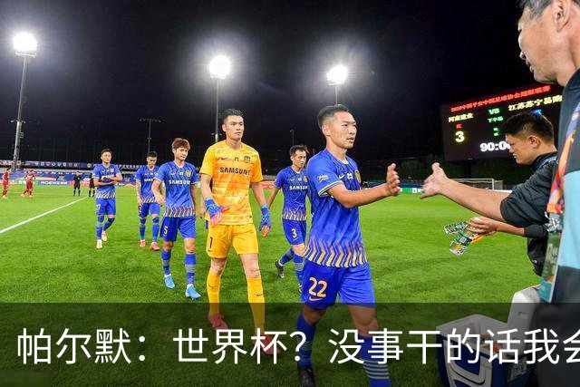 帕尔默：世界杯？没事干的话我会看看，我希望他们能走到最后